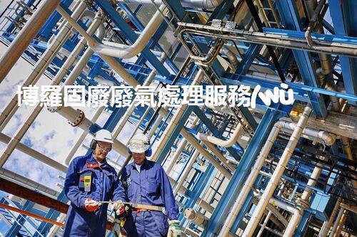 博羅固廢廢氣處理服務(wù)，靠譜又省心？快來(lái)了解！